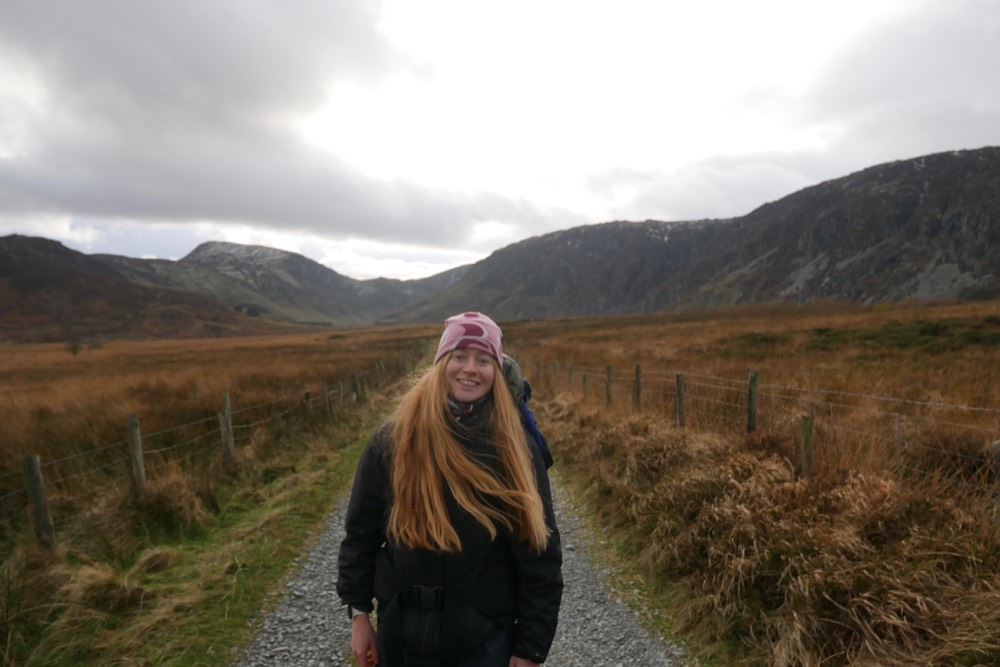 Anaya Powis, tutor